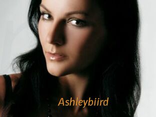 Ashleybiird