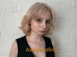 Ashleycodling