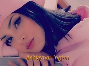 ashleyharrington Porn University