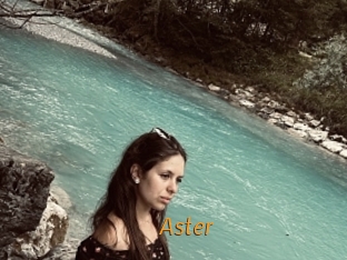 aster Porn University