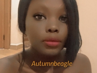 autumnbeagle Porn University