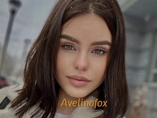 Avelinafox