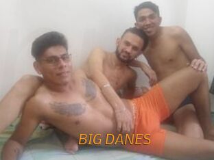 BIG_DANES