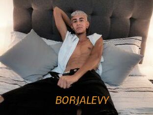 BORJALEVY