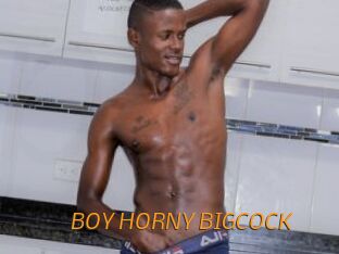 BOY_HORNY_BIGCOCK