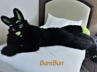 BaniBun
