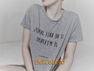 BatCat690
