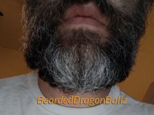 BeardedDragonBallz Porn University