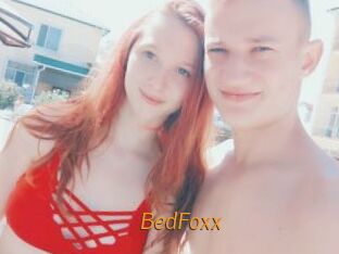 BedFoxx
