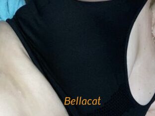 Bella_cat