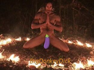 BigDonkeyDick Porn University
