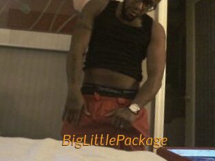 BigLittlePackage