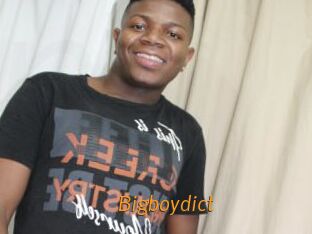 Bigboydict