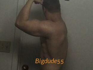 Bigdude55