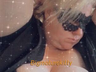 Bigmaturekitty
