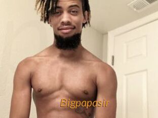 Bigpapasir