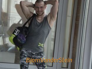 BjornVanderStein