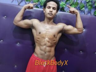 BlackBodyX
