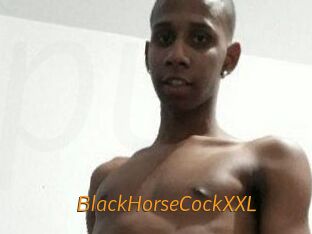 BlackHorseCockXXL