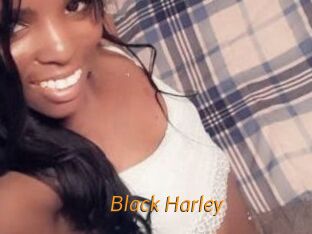 Black_Harley Porn University
