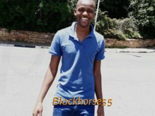 Blackhorse55