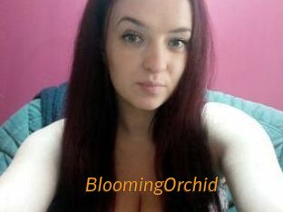 BloomingOrchid