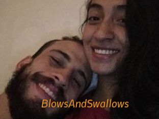 BlowsAndSwallows