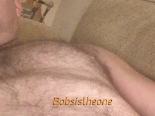 Bobsistheone