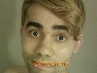 Bongsohung