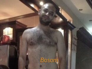 Bosom