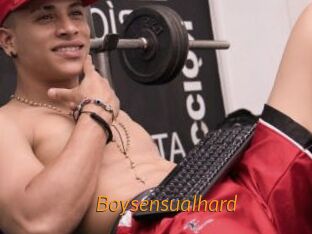Boysensualhard