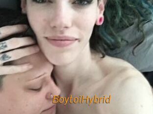 BoytoiHybrid Porn University