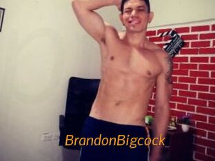 BrandonBigcock