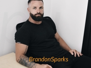 BrandonSparks Porn University