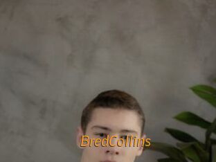 BredCollins Porn University
