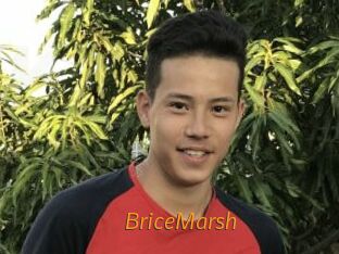 BriceMarsh Porn University
