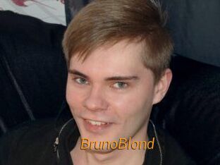 BrunoBlond Porn University