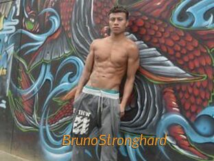 BrunoStronghard Porn University