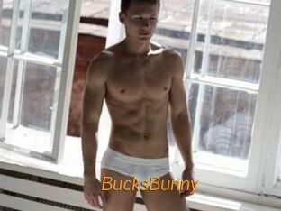 BucksBunny