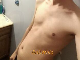 BullWhip