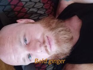 bald_ginger Porn University