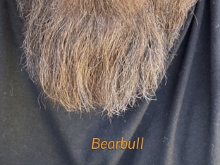 bearbull Porn University