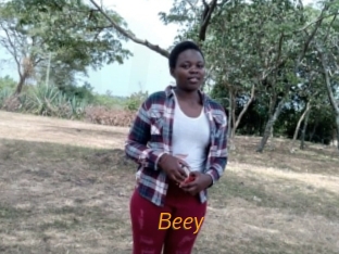 Beey