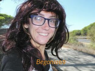 Begonia69