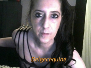 Belgecoquine