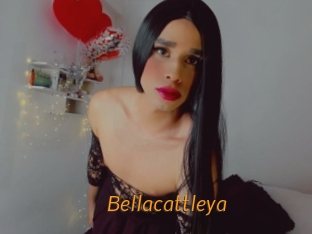 Bellacattleya