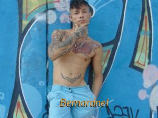 bernardnel Porn University