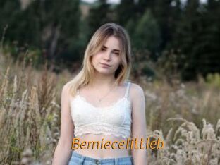 Berniecelittleb