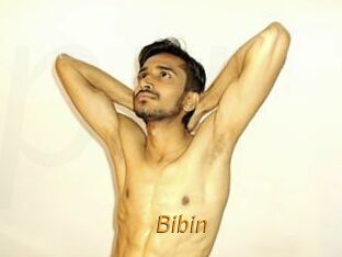 Bibin