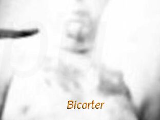 Bicarter
